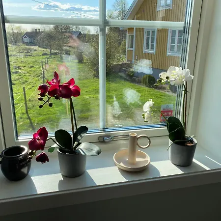 Skog Fegen Villa Buitenkant foto
